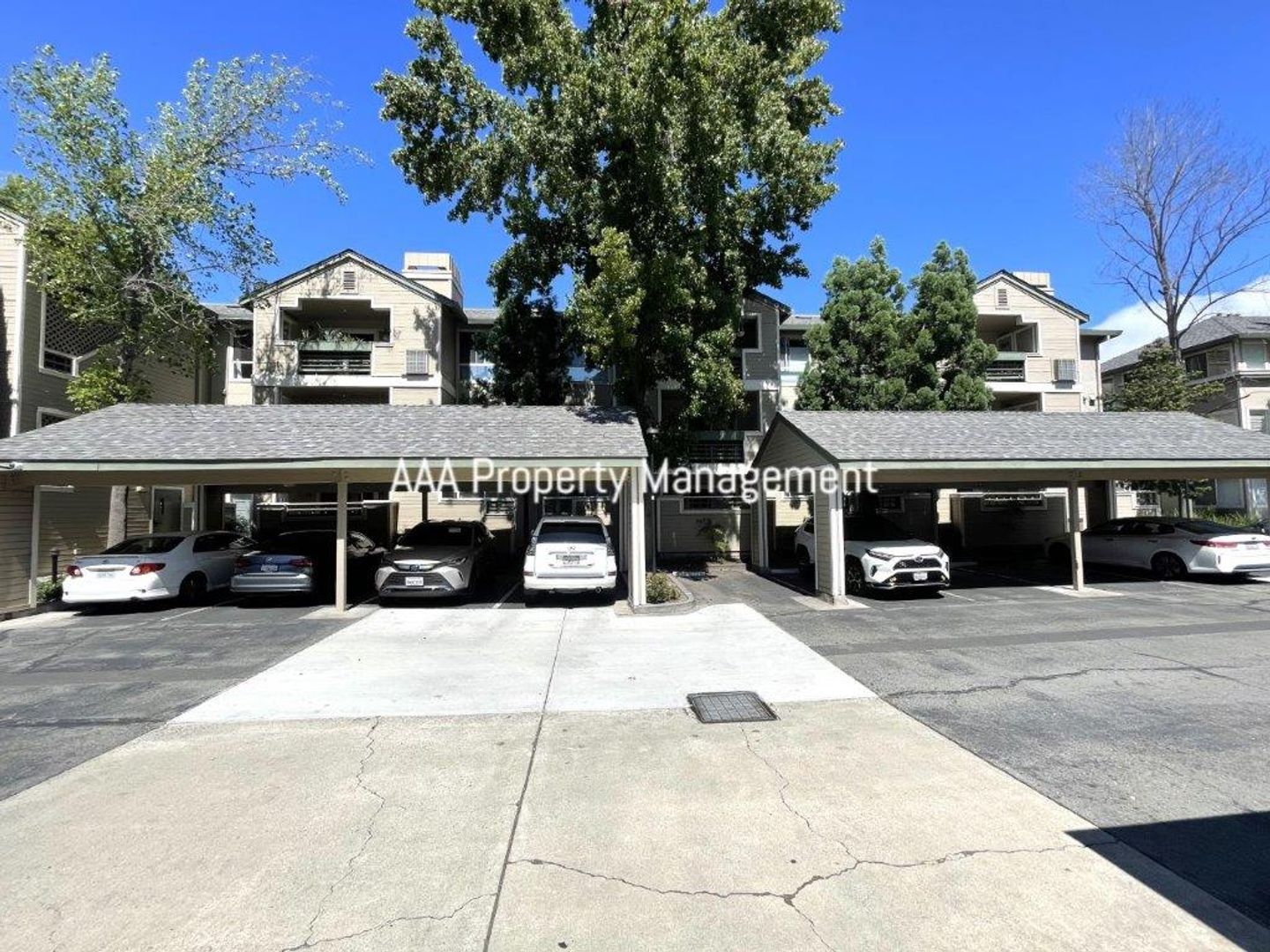Walnut Creek Condo: 2530 Oak Rd Unit #204