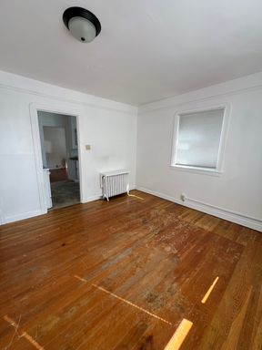 1 Bedroom, 1 Bathroom Apartment - White Pine Apartments