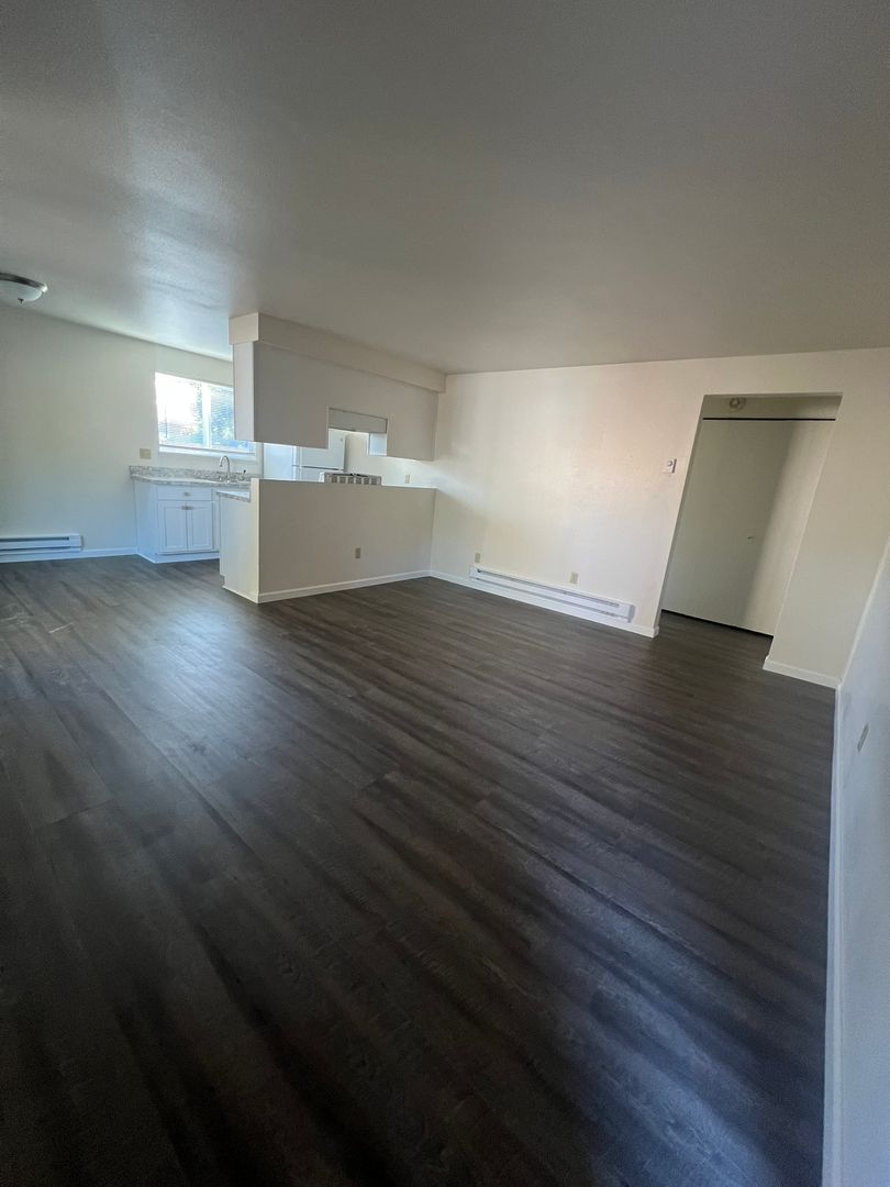 One Bedroom, One Bathroom Downstairs Apartment 