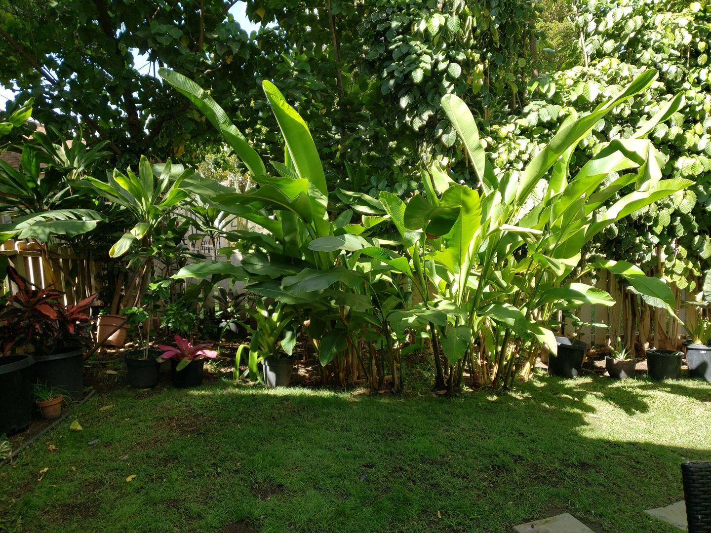 Kihei Condo: 140 Uwapo Road, 1-104