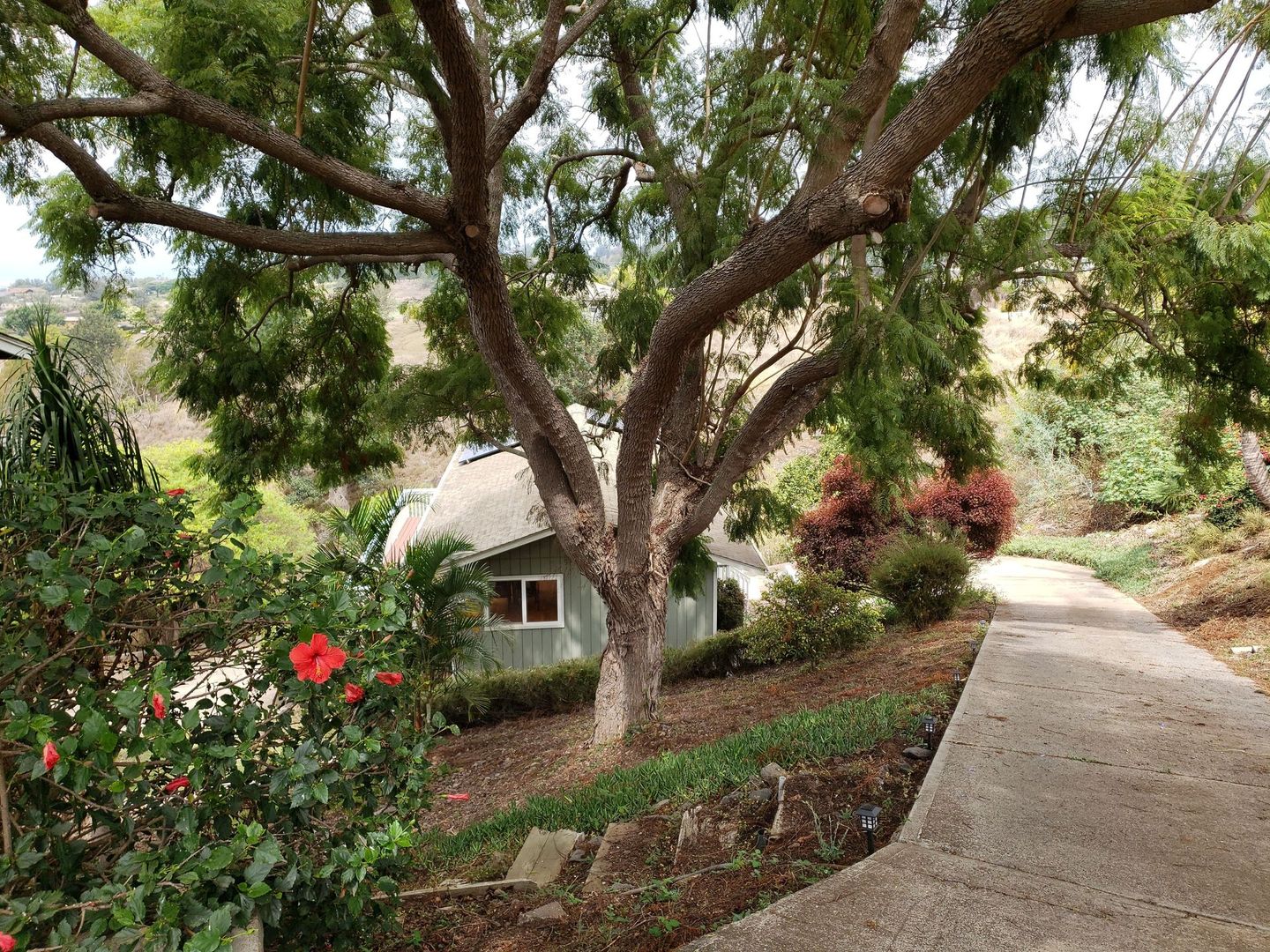 Kula House: 2664 Lower Kula Rd