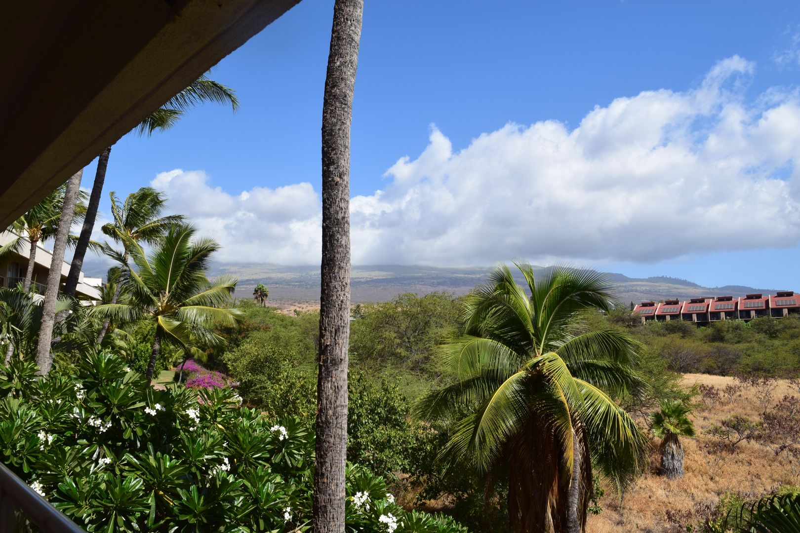 MAUI4856 4 of 11