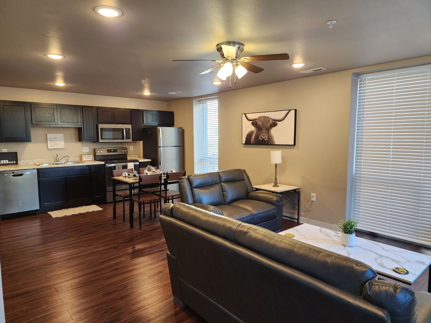 Iowa City Apartment: 20 S Gilbert