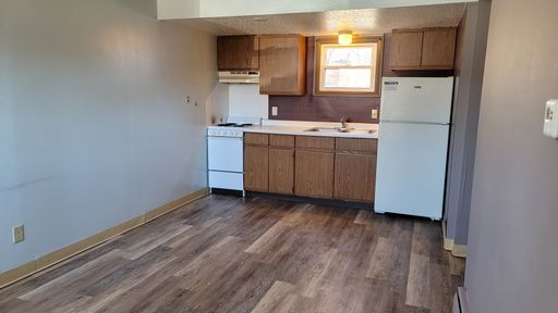2 Bed 1 Bath Lower in Downtown Wausau – photo 1