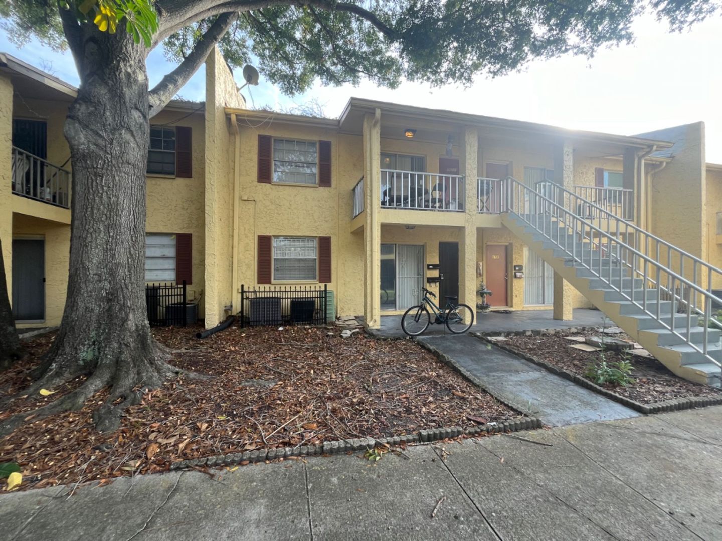 Tampa House: 7609 Dolonita Dr.