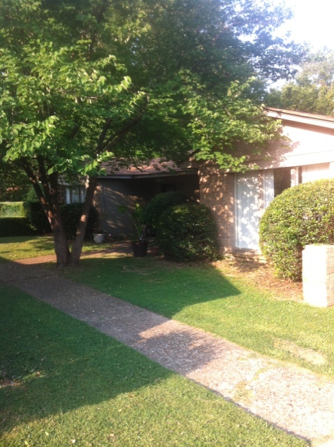 Fort Smith Apartment: 3822 - 3904 - 3906 South N