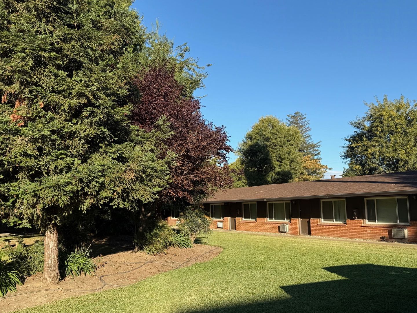 Willows Apartment: 443 W. Wood St.