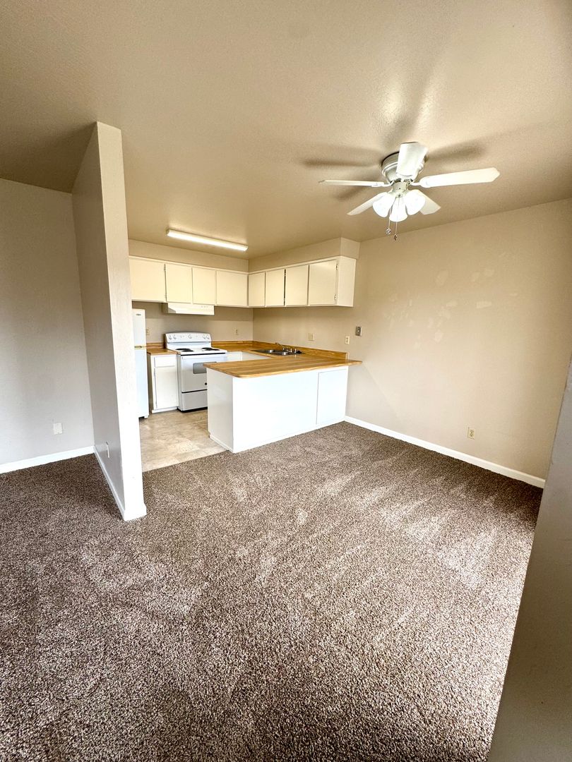 Willows Apartment: 266 S. Yolo Street