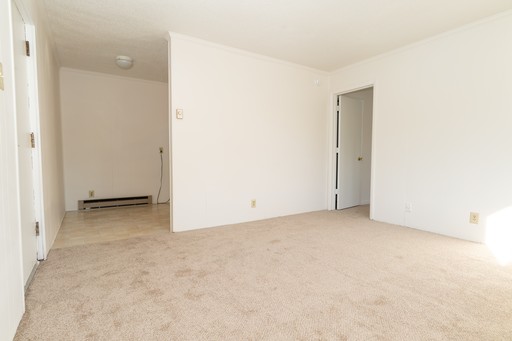 1 Bed 1 Bath Condo in Carrboro!
