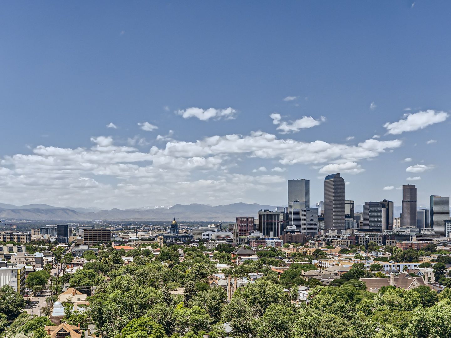 Denver Condo: 1313 N Williams St. #1106