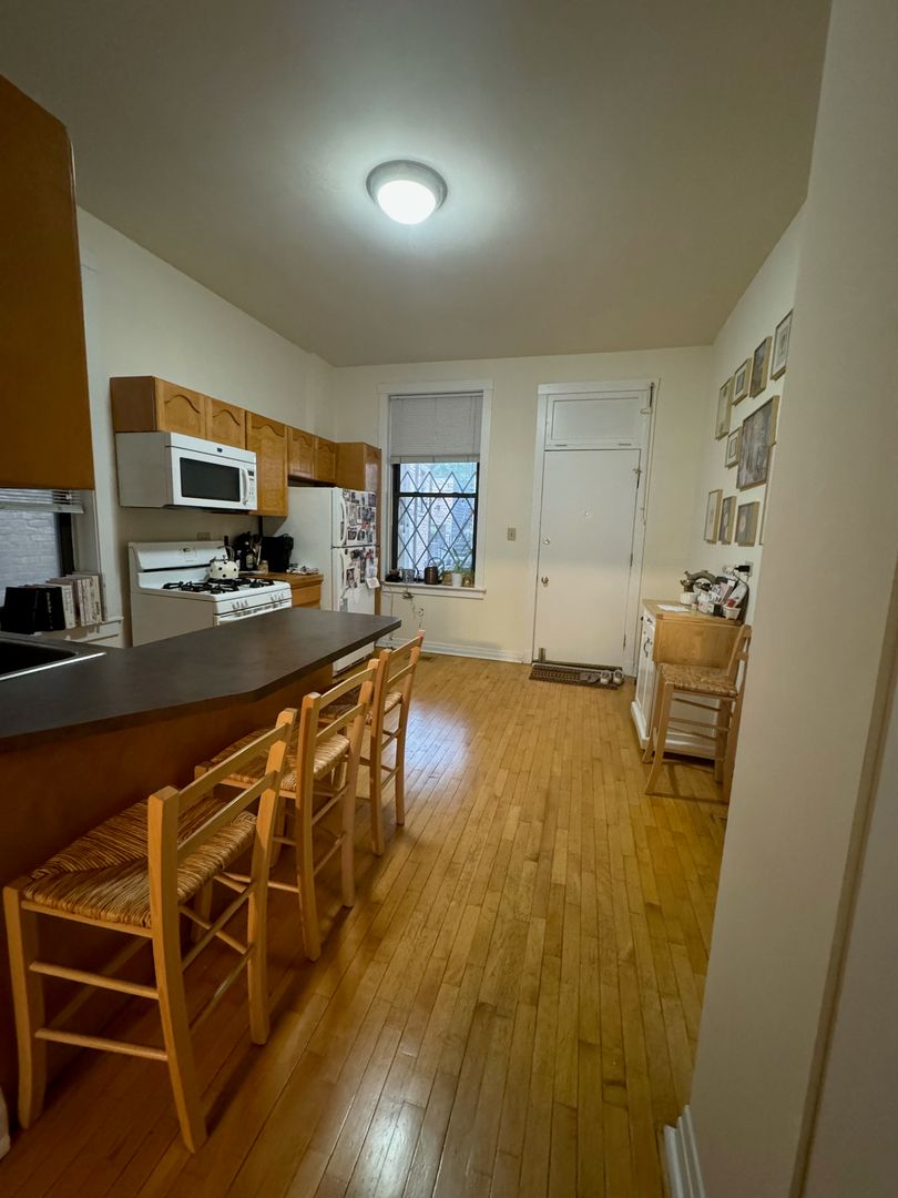 Chicago Apartment: 1508 N. ELK GROVE