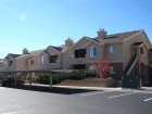 Colorado Springs Condo: 3944 Riviera Grove #203