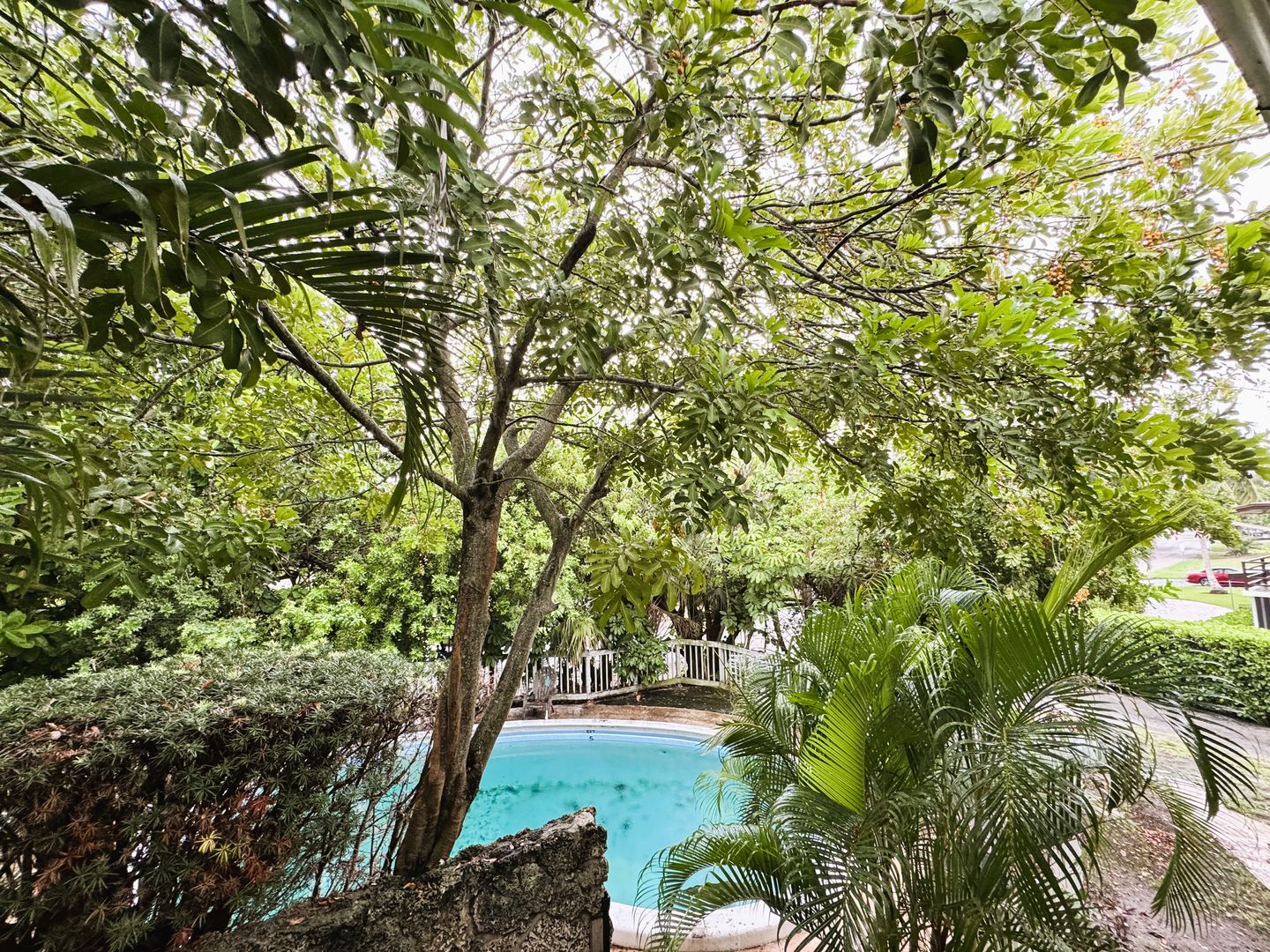 Fort Lauderdale Apartment: 4317 NE 21ST AVE