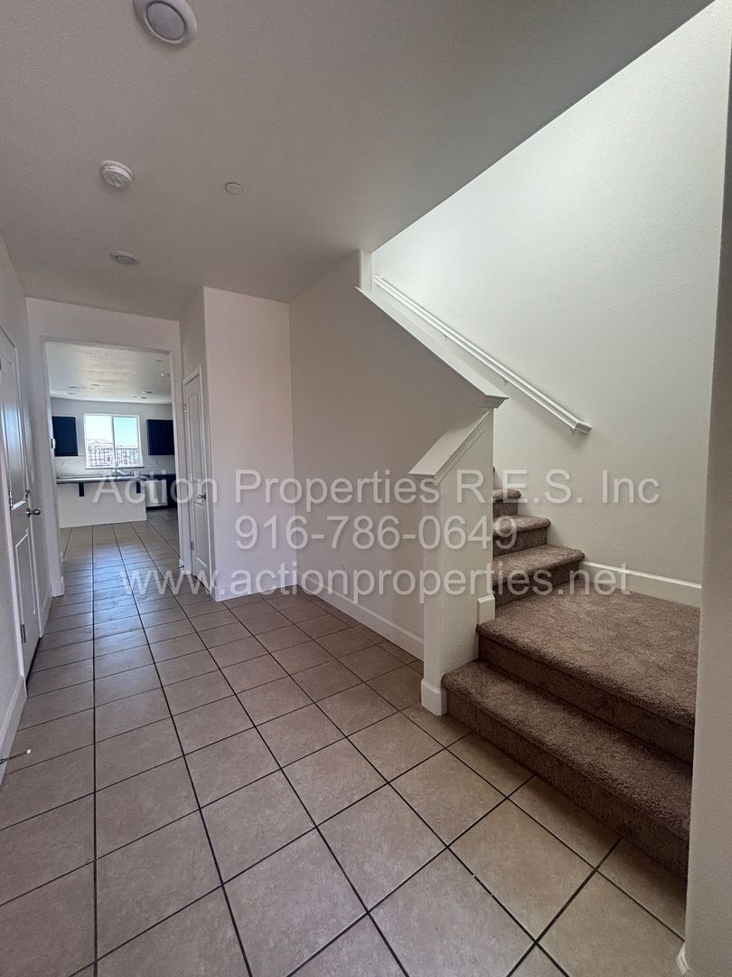 Lion Street 1611 5 of 12