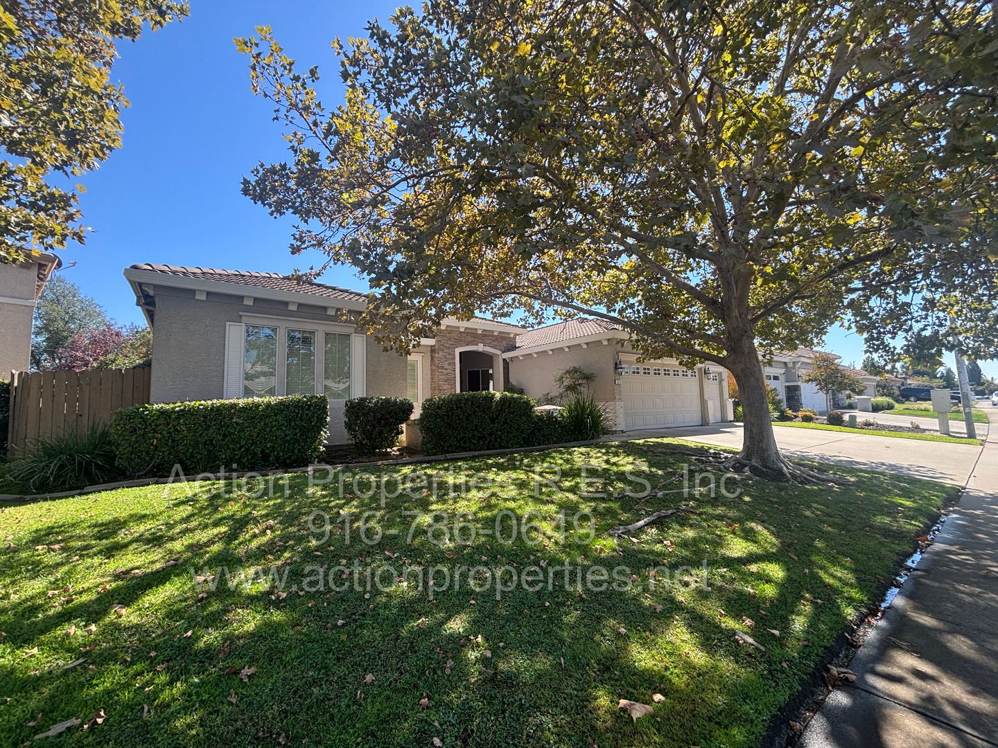 Eriswell Drive 1511 (p) 4 of 12