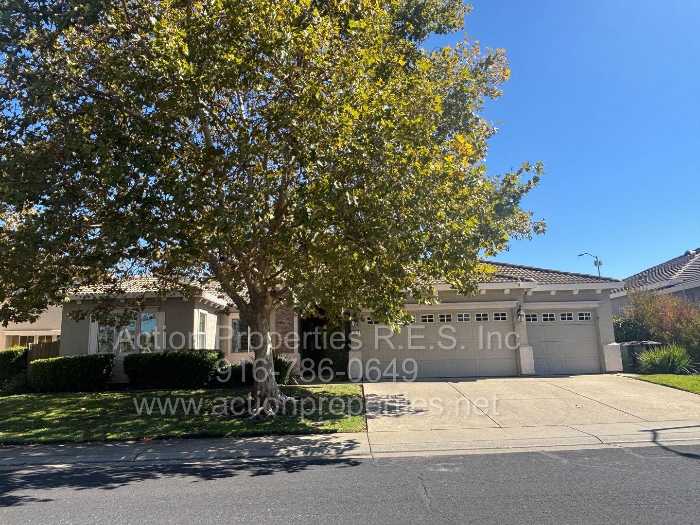 Eriswell Drive 1511 (p) 2 of 12