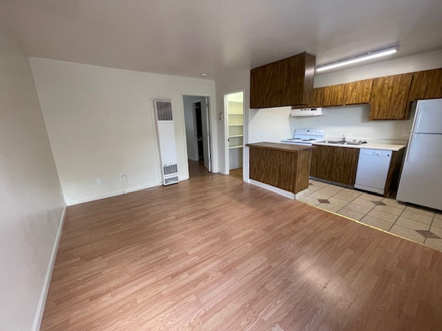 Reno Apartment: 264 Thoma St
