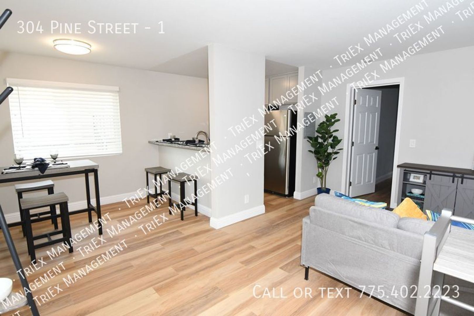 Reno Apartment: 310 Pine Street