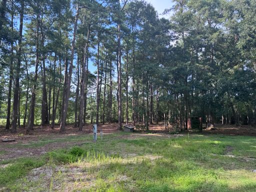 Mobile Home Lot