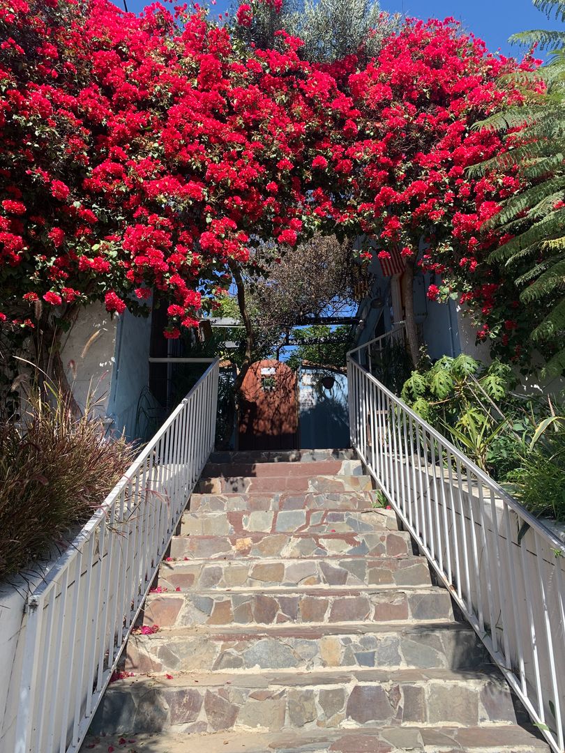 LOS ANGELES Apartment: 3927 & 3951 MELROSE AVE