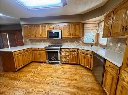  1317 E Sleepy Hollow Dr, Olathe, KS 66062