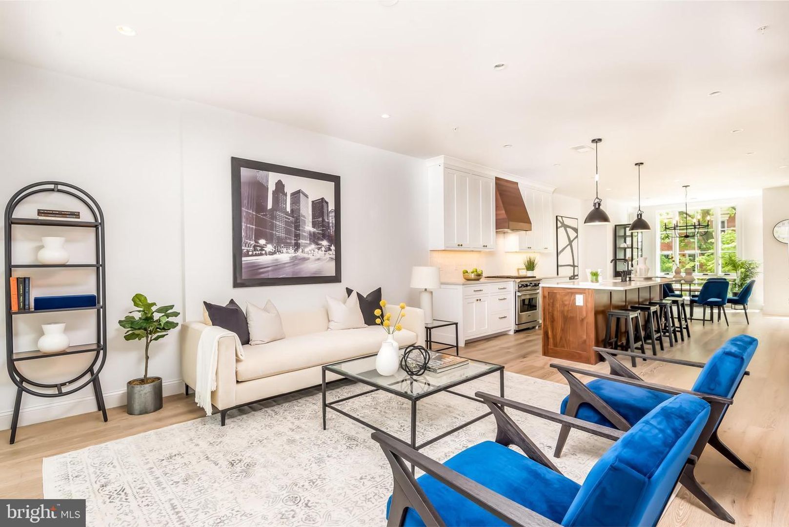 Luxury Rowhome Condo with Private Rooftop in Historic Mount Vernon Square