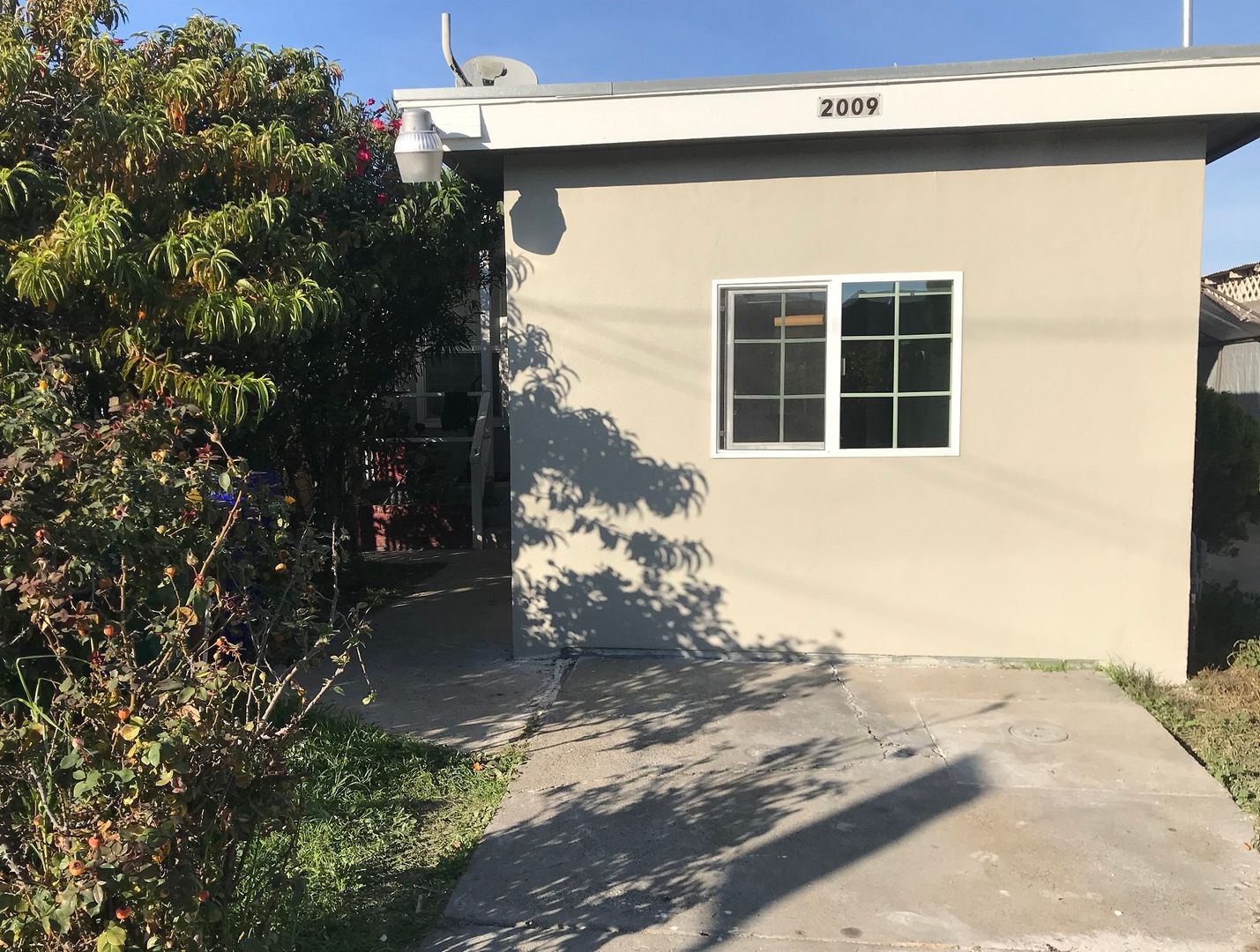 Richmond Apartment: 2009 Dunn Ave