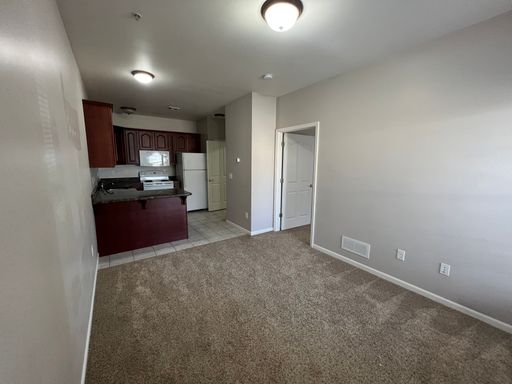 1119 Ratone Street, #3, Manhattan, KS 66502