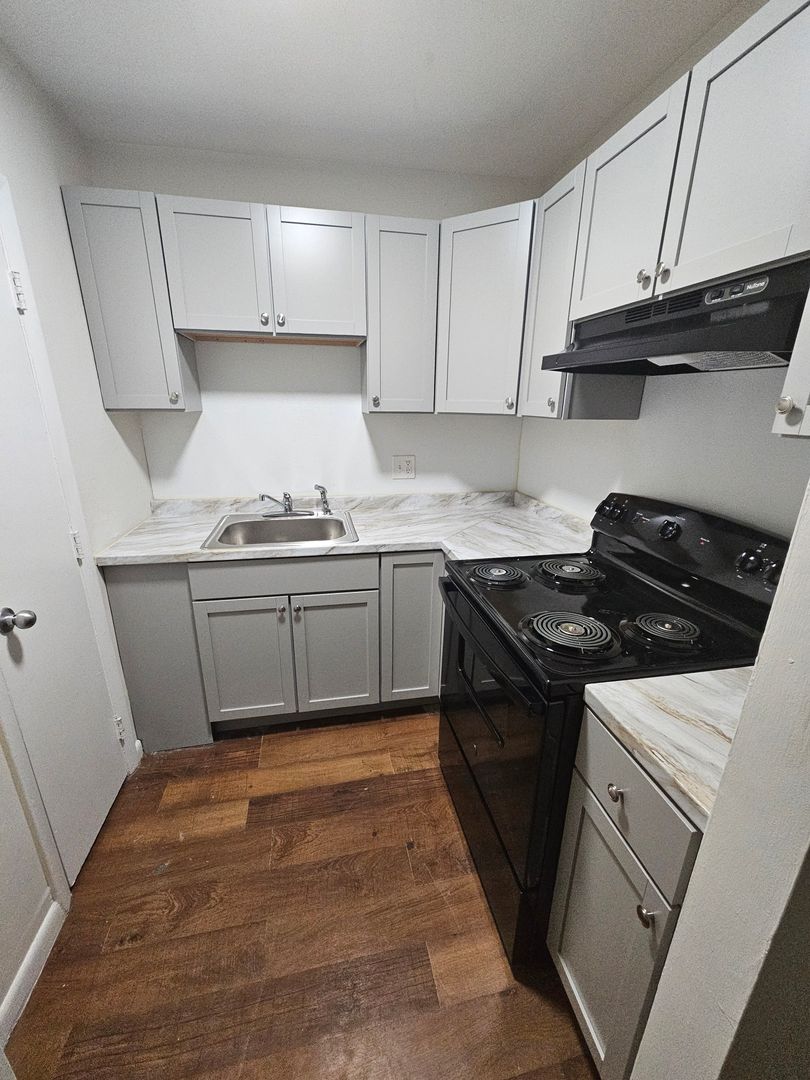 Hyde Park Apartment: 1037 River Street