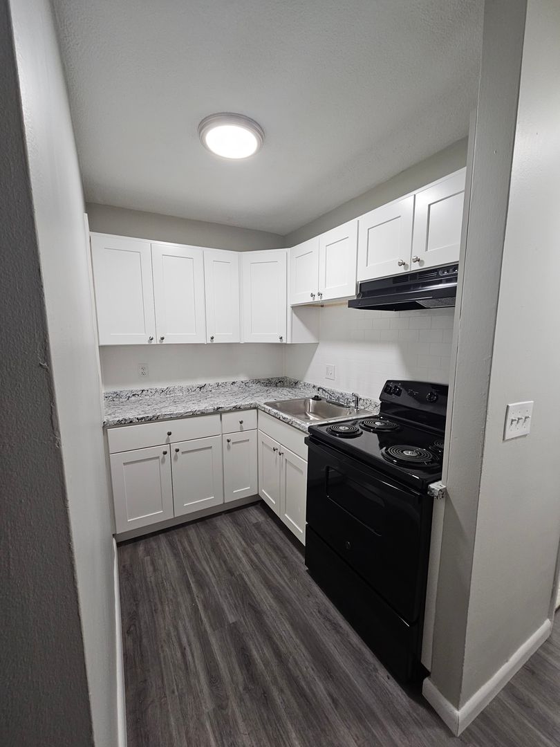 Hyde Park Apartment: 1037 River Street