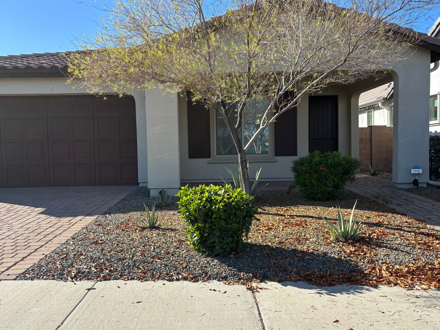 Queen Creek House: 19314 S 208th Pl