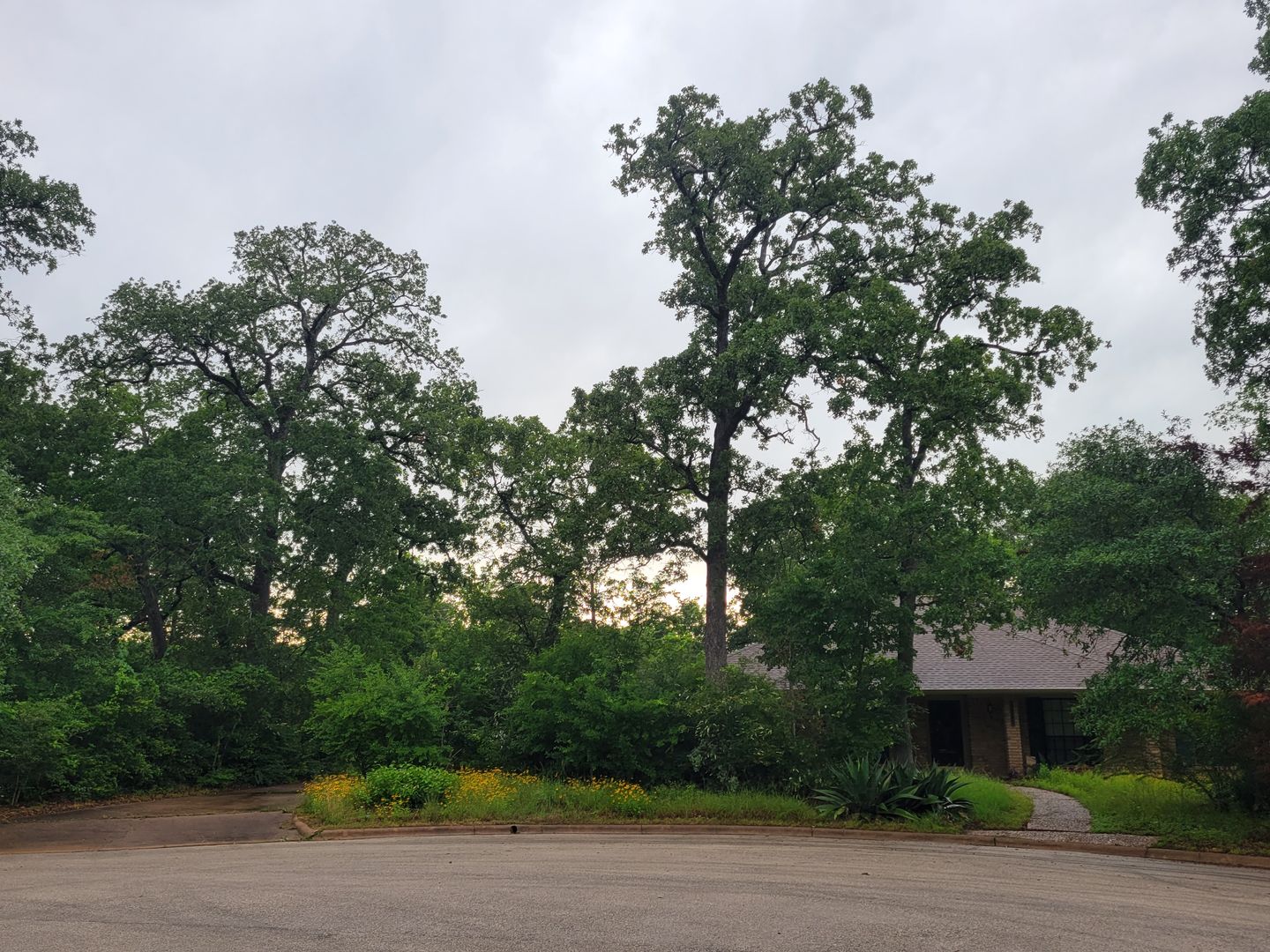 College Station House: 2707 Teakwood Ct.