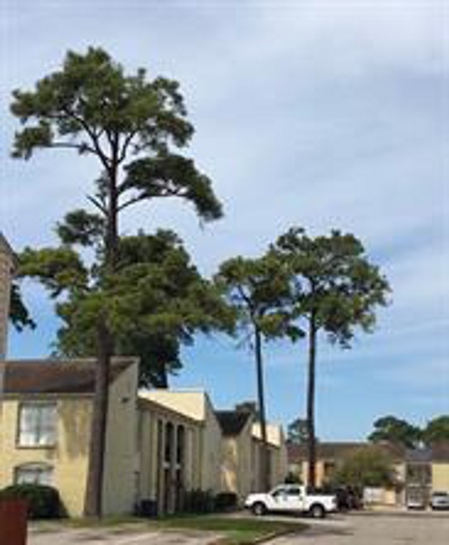 Houston Condo: 6200 W Tidwell Rd #802