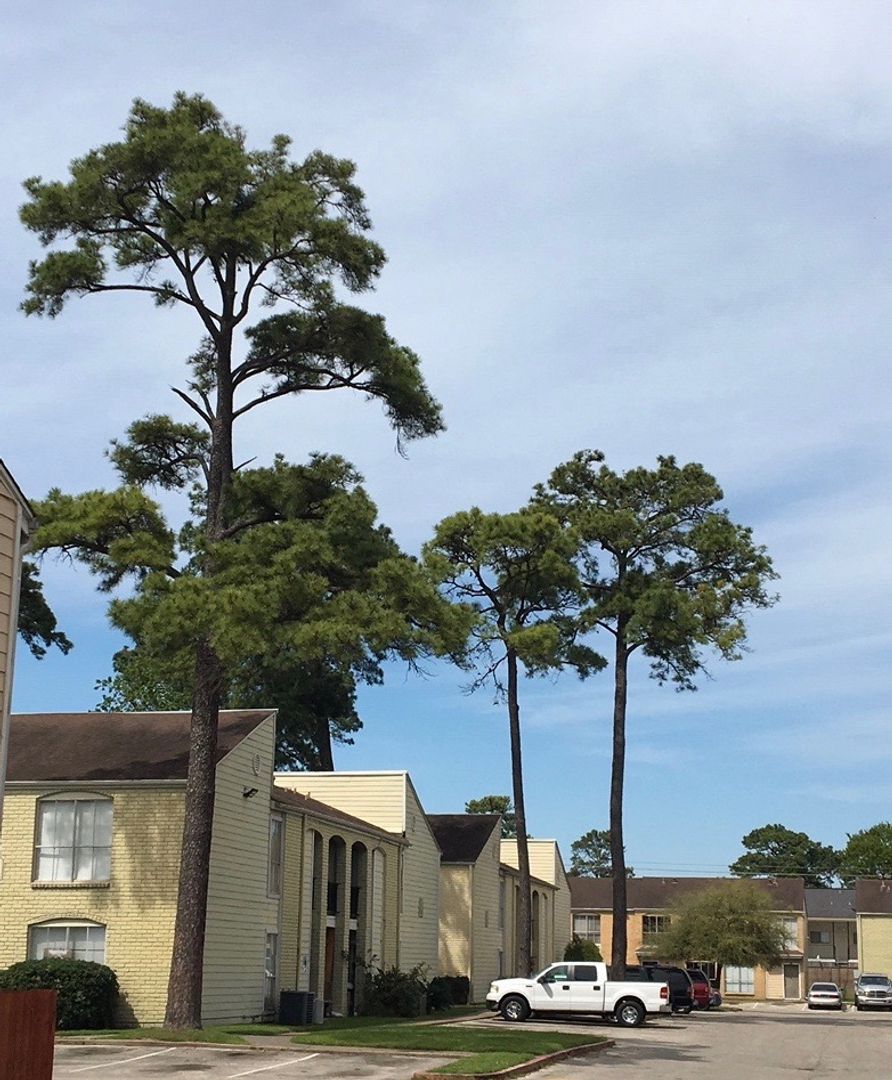 Houston House: 6200 W Tidwell Rd #602