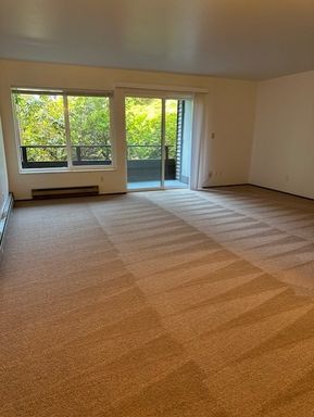 Magnolia Crestview | Spacious 2BR/2BA with Deck, Views & Updated Kitchen | Steps from Discovery Park – photo 1