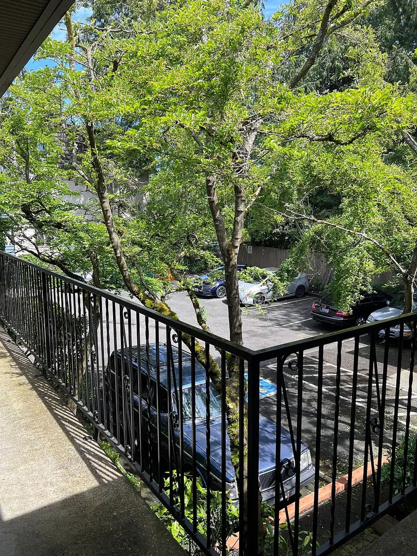 A104 - CEDAR LANE APARTMENTS 4 of 12