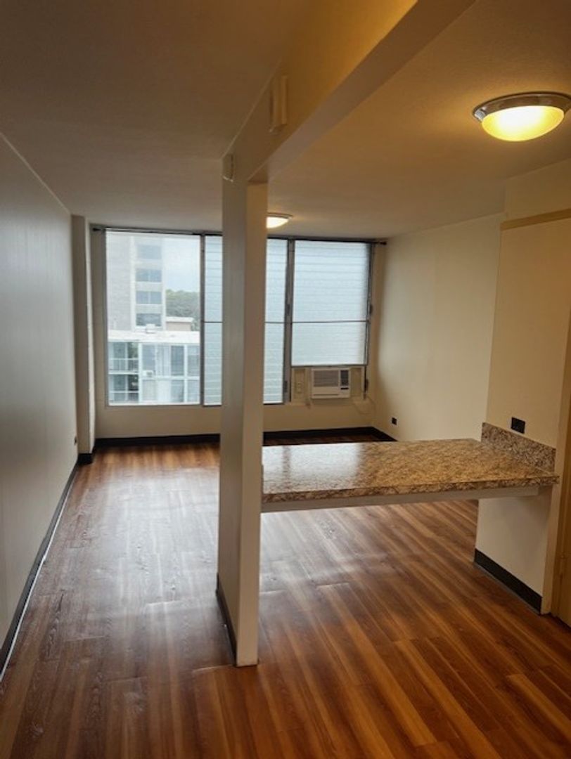 Honolulu Apartment: 1519 Nehoa Street