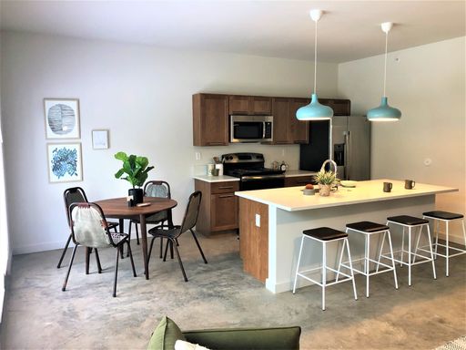 Luxury 2 Bed/2Bath in Historic Shaw District – photo 1