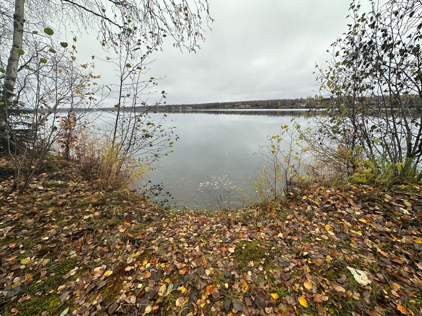 Wasilla House: 601 W Lakeview Ave