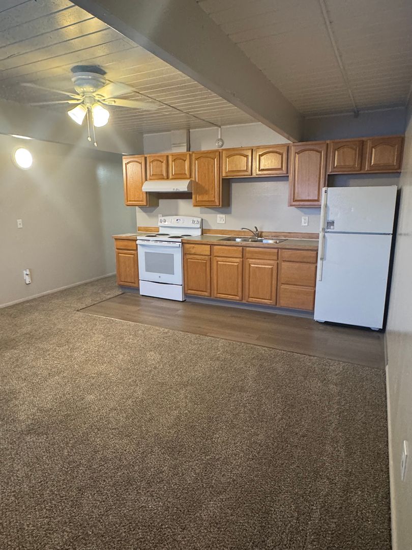 Anchorage Apartment: 4554 Homer Drive
