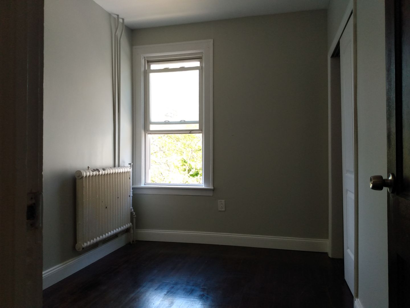 Albany Apartment: 45 South Pine Ave