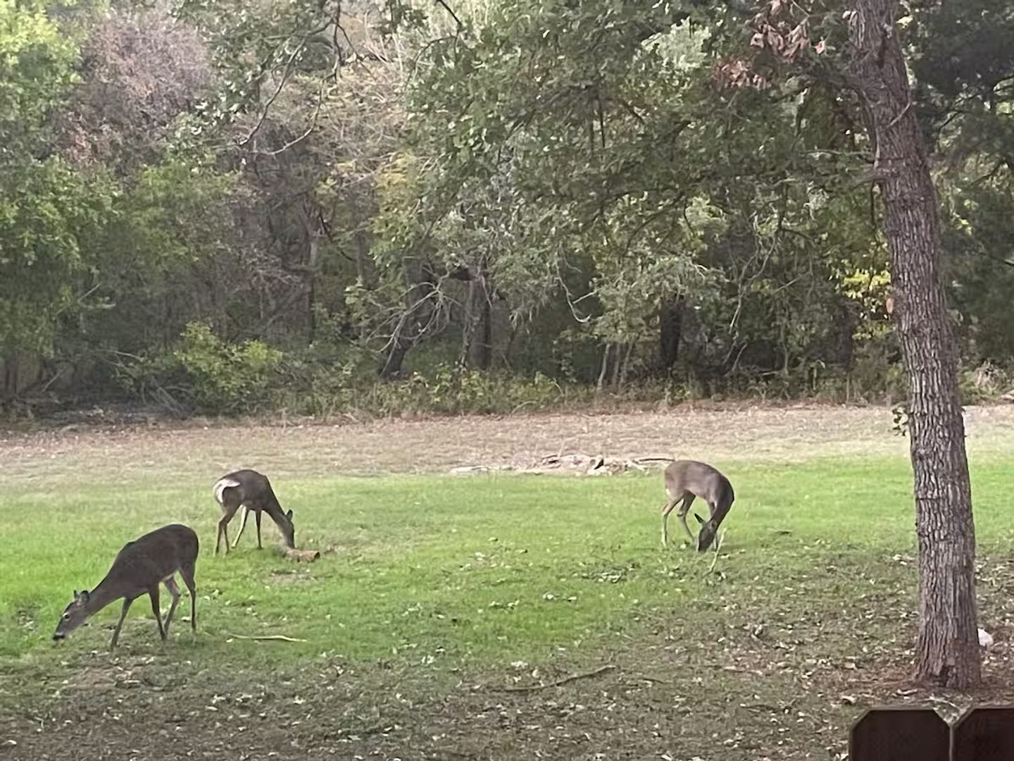 Manchaca House: 13500 Copper Hills Dr