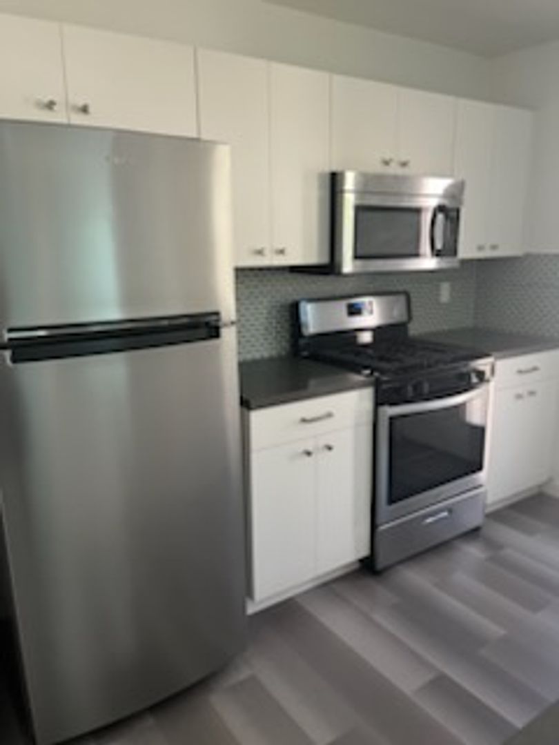 Reno Apartment: 1065 Haskell St