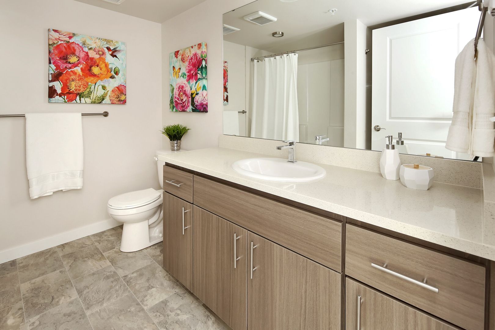 Bellingham Apartment: 256 Prince Avenue