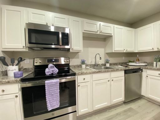 Beautifully Renovated One Bedroom Apartment Home in Gainesville, FL! – photo 1