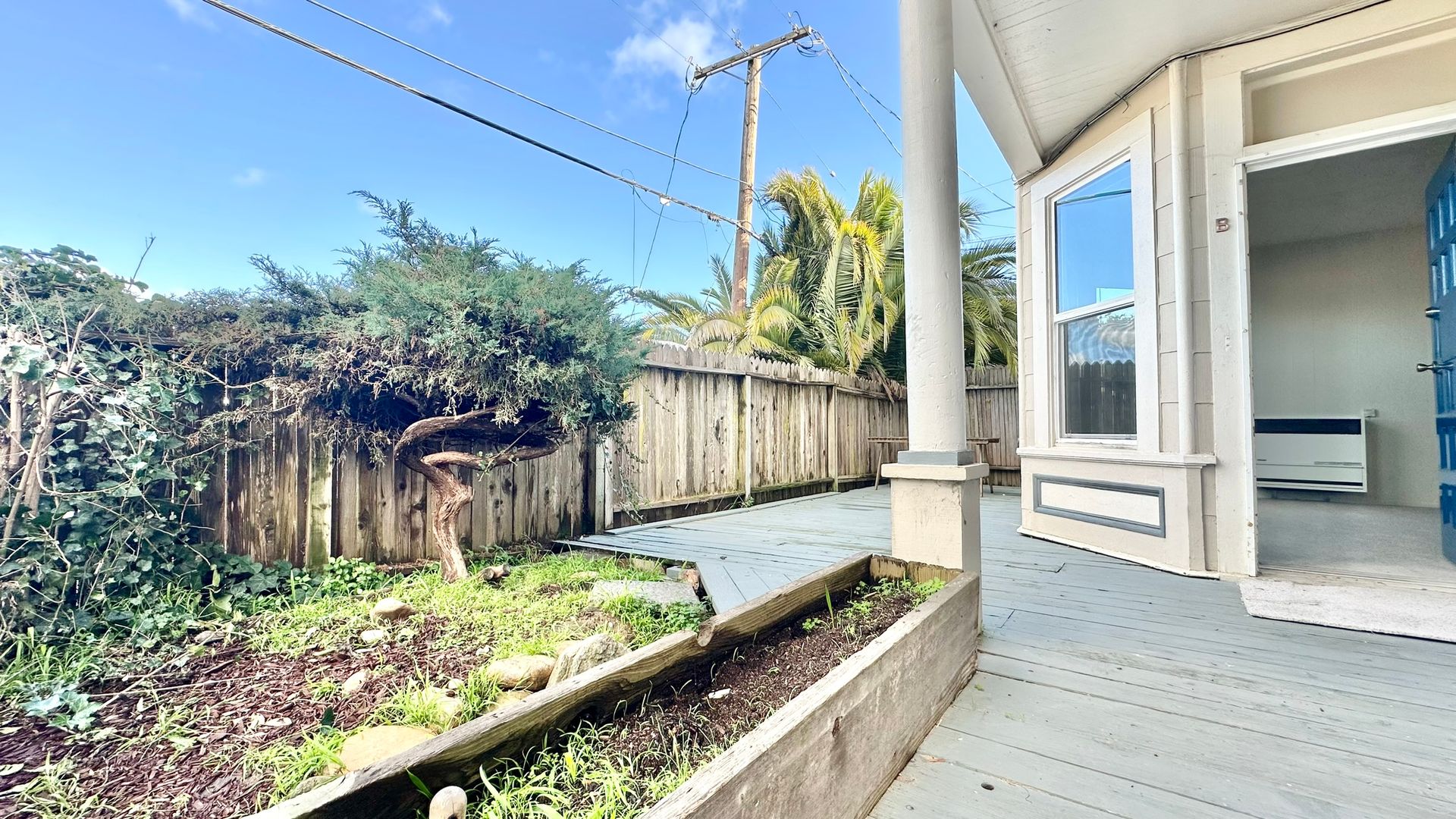 Richmond Apartment: 225 Nicholl Avenue - B