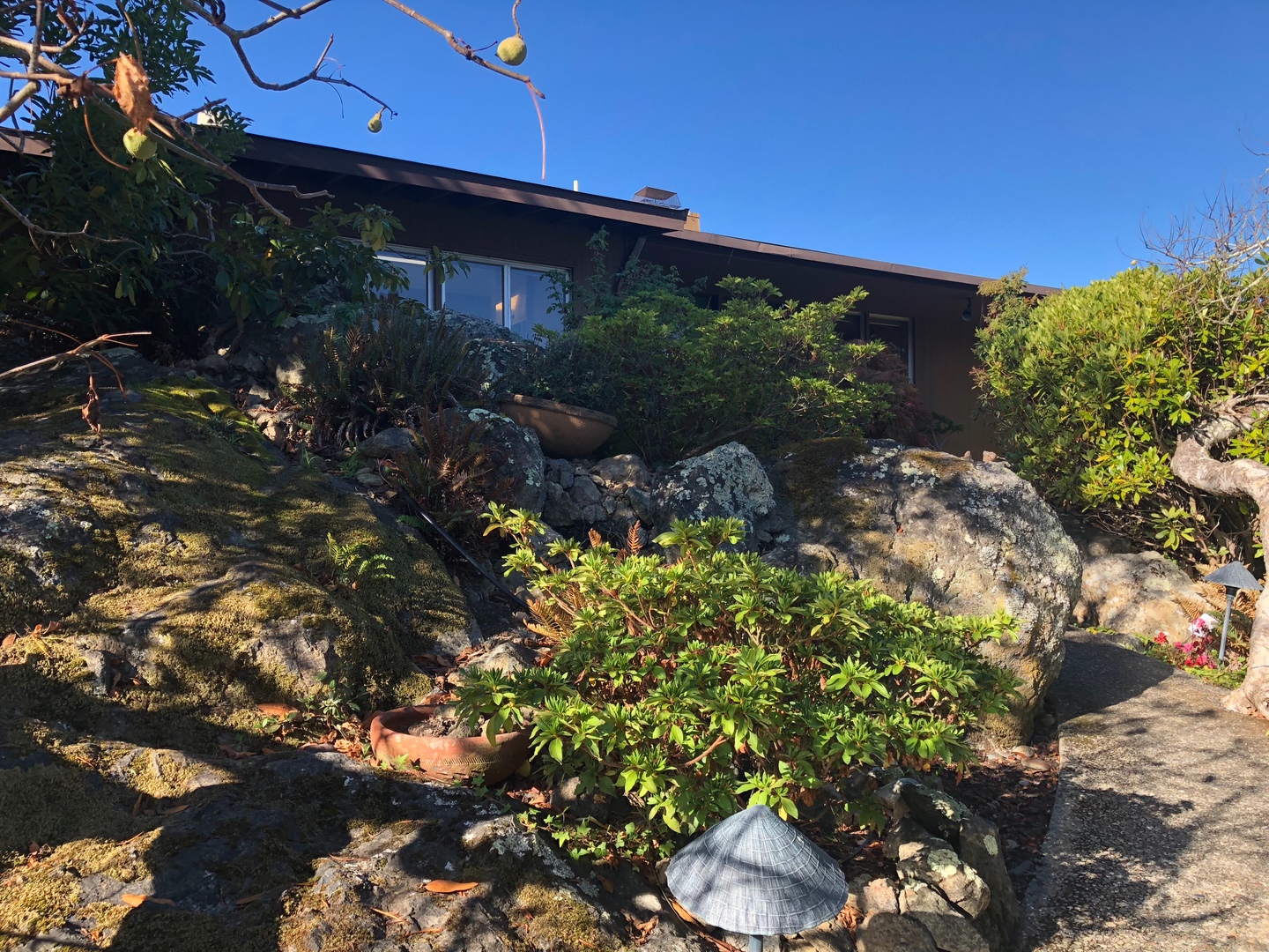 El Cerrito House: 1409 Brewster Drive