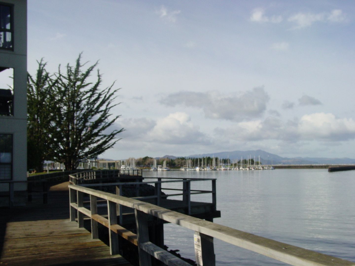 5 Commodore Drive #B303, photo 23