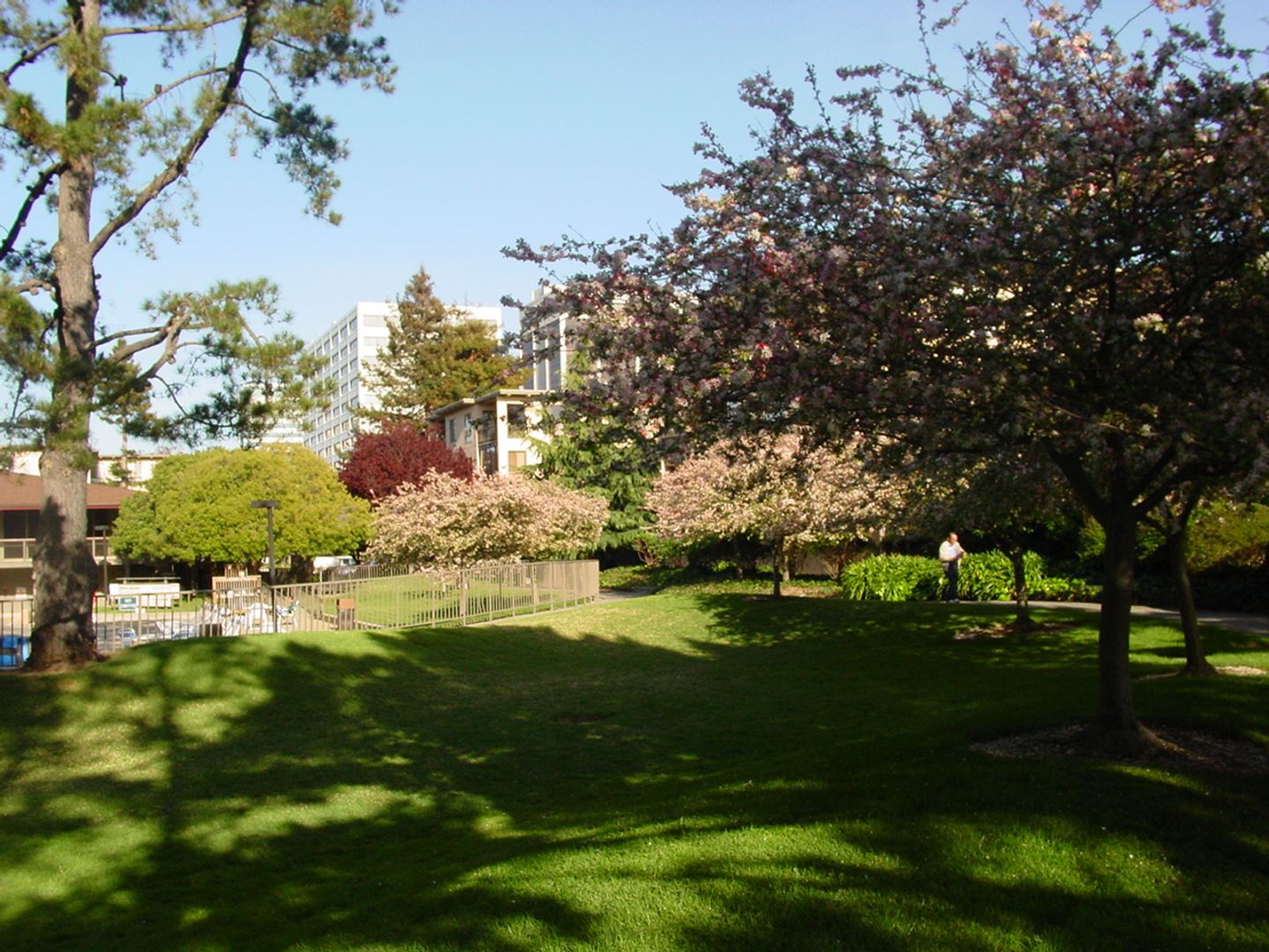 5 Commodore Drive #B303, photo 24