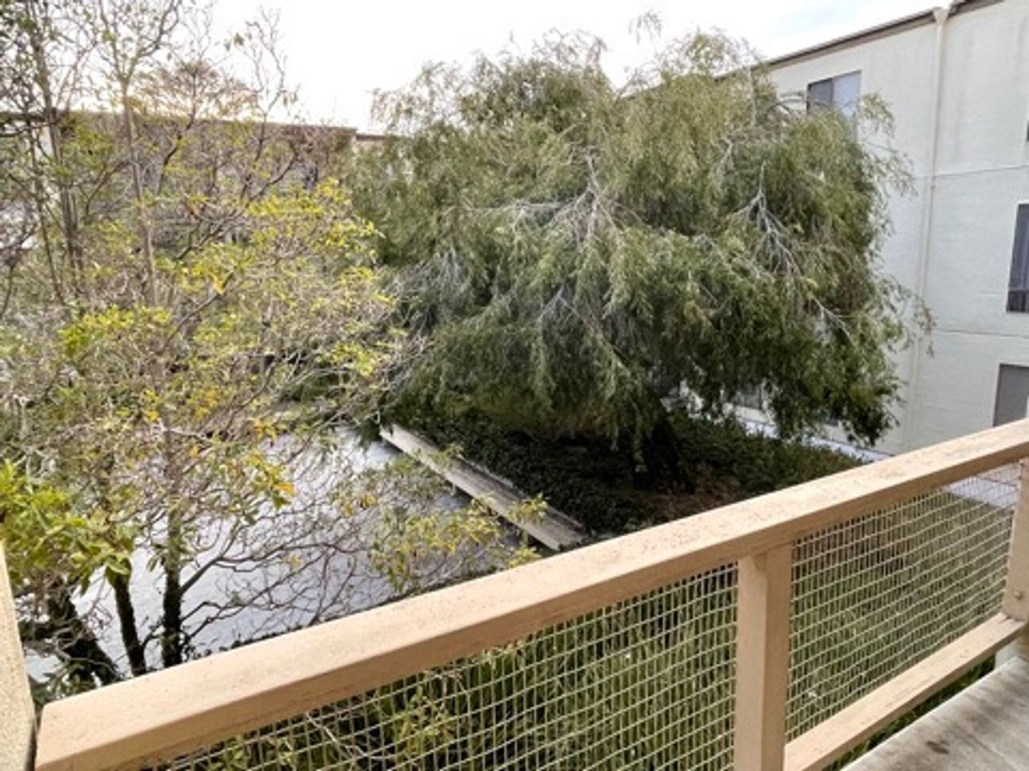 5 Commodore Drive #B303, photo 14